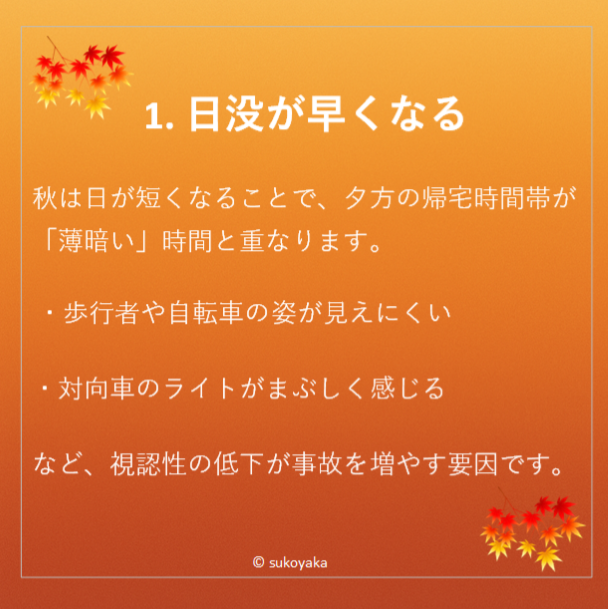 秋に交通事故が増える理由の写真02