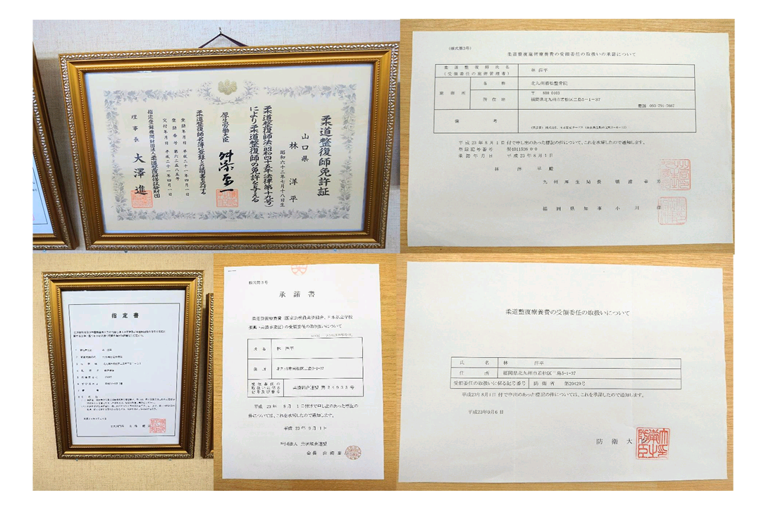 免許証・指定書.png