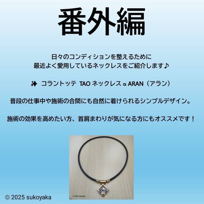 番外編を紹介している写真