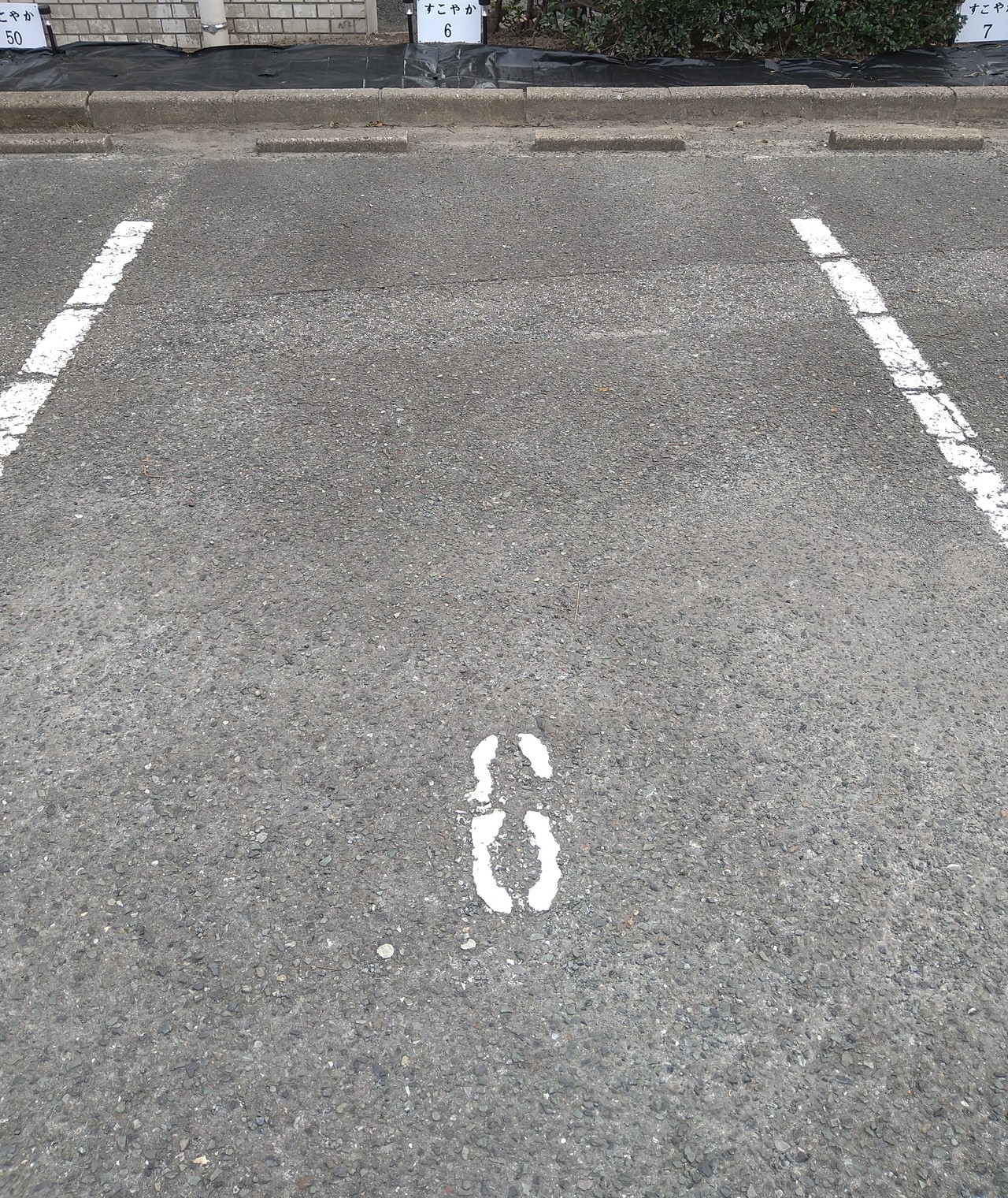 第1駐車場（6番）.JPG