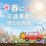 春に交通事故が増える理由の写真