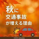 秋に交通事故が増える理由の写真