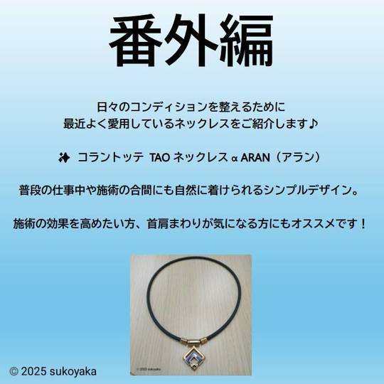 番外編を紹介している写真